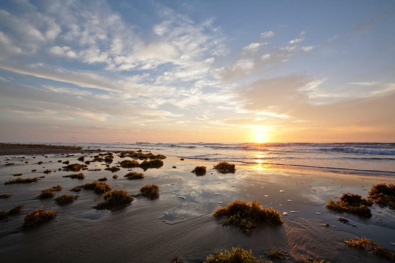 Campeche Cove #1 Hotel South Padre Island Esterno foto