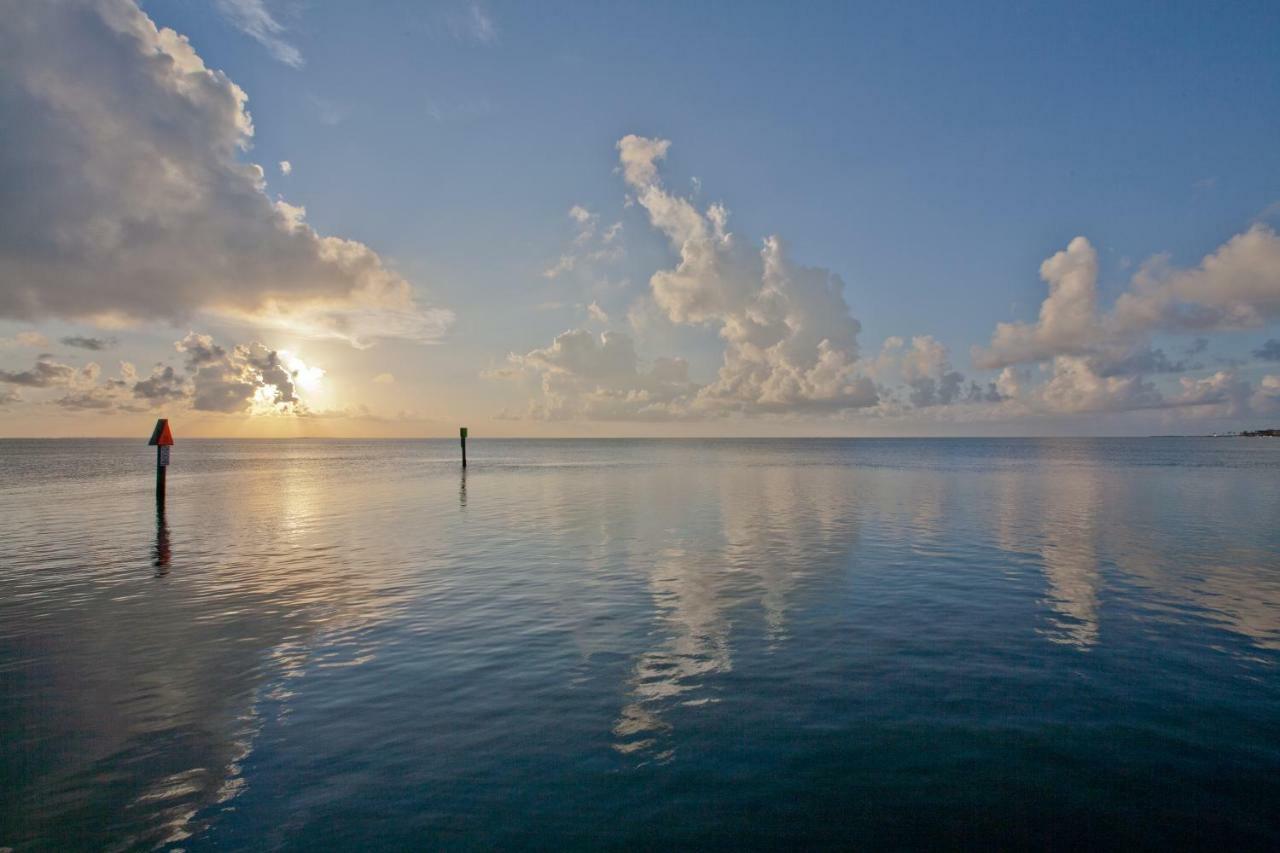 Campeche Cove #1 Hotel South Padre Island Esterno foto